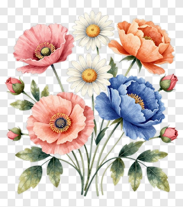 Colorful Flower Bouquet With Poppies And Daisies PNG