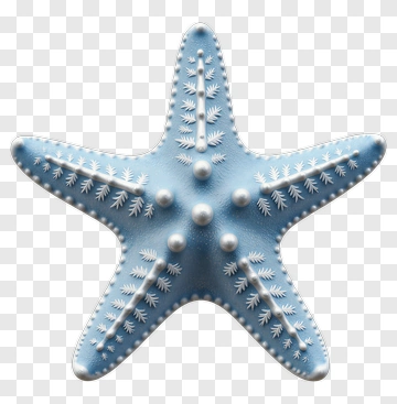 Blue Starfish With White Decorative Details PNG