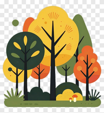 Autumn Forest With Colorful Trees PNG