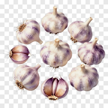 Garlic PNG