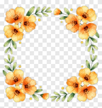 Orange Flower Frame PNG