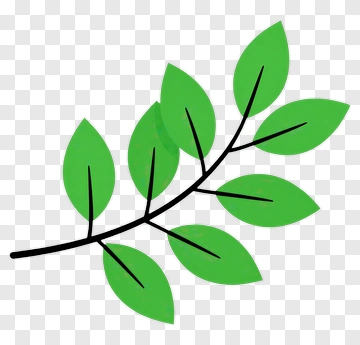 Green Leaf Branch PNG