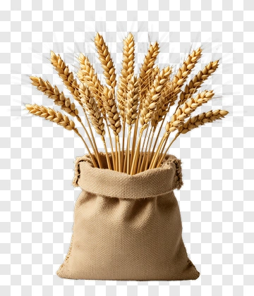 Golden Wheat In Burlap Sack PNG