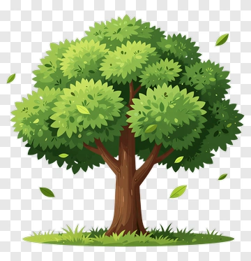 A Cartoon Tree With Green Leaves PNG