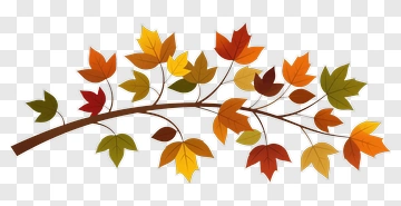 Autumn Leaf Branch PNG