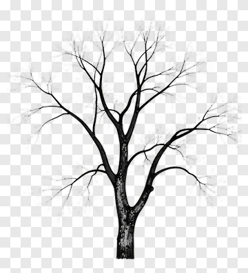Bare Tree Silhouette PNG