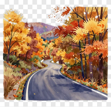 Autumn Road Through Colorful Trees PNG