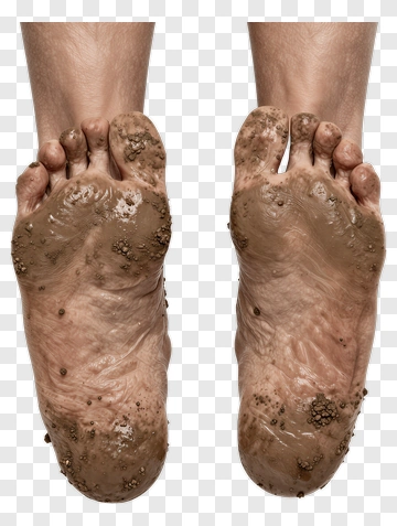 Muddy Feet PNG