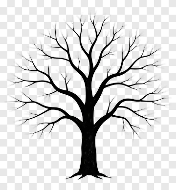 Silhouette Of A Bare Tree PNG