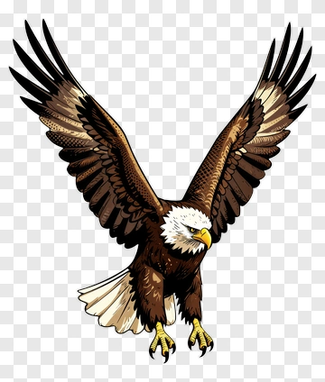 Eagle With Wings Spread PNG