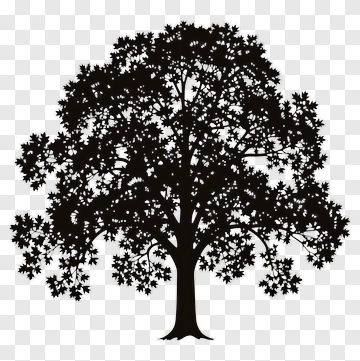 Black Tree Silhouette PNG