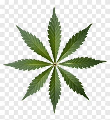 Cannabis Leaf PNG