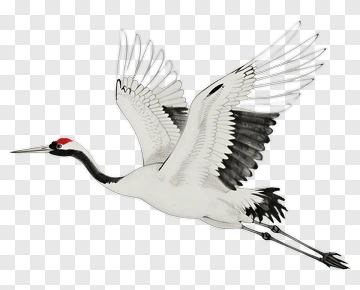 Flying Crane PNG