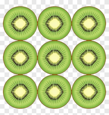 Kiwi Fruit Slices Arrangement PNG