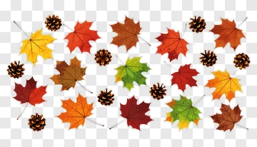 Autumn Leaves And Pinecones PNG