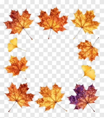 Autumn Leaves In Vibrant Colors PNG