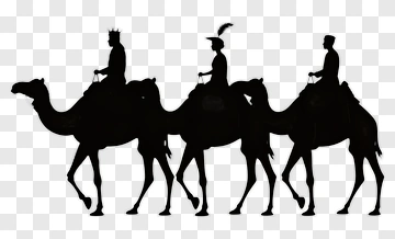 Three Kings On Camels PNG