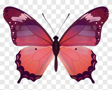 Pink And Purple Butterfly PNG