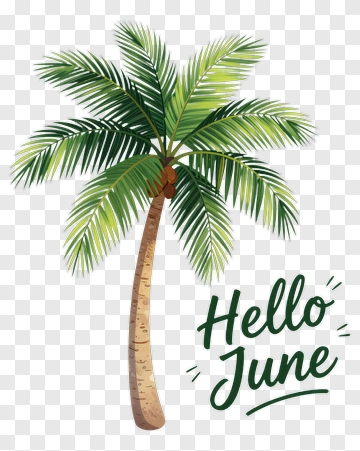 Hello June Palm Tree PNG