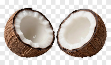 Coconut Cut In Half PNG