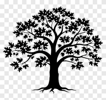 Tree PNG