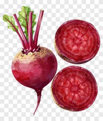 Beetroot With Slices And Leaves PNG