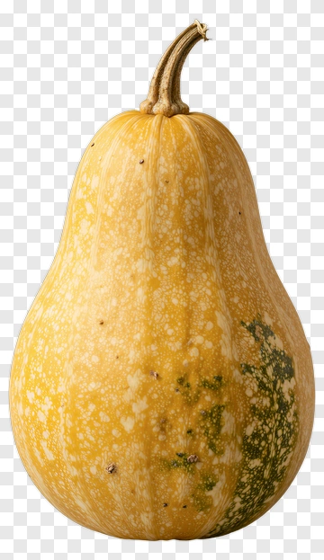 Yellow Squash With Green And White Spots PNG