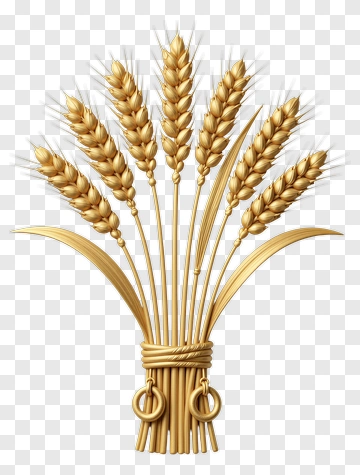 Golden Wheat Stalks Bouquet PNG