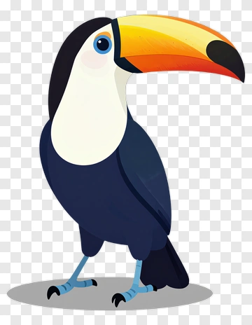 Toucan With Colorful Beak PNG