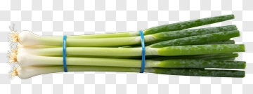 Fresh Green Onion Bundle PNG