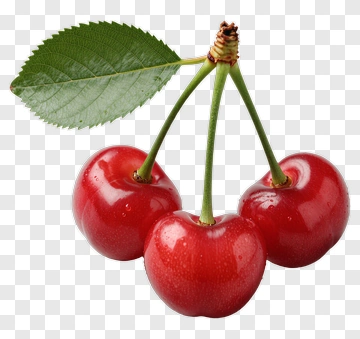 Fresh Cherries With Leaf PNG