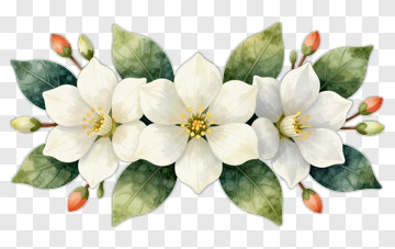 Watercolor Floral Arrangement With White Flowers PNG