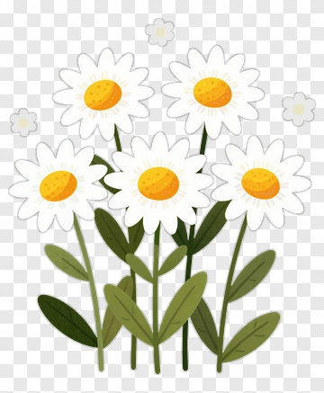 Daisy Flower Bouquet PNG
