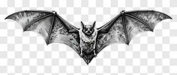 Bat PNG