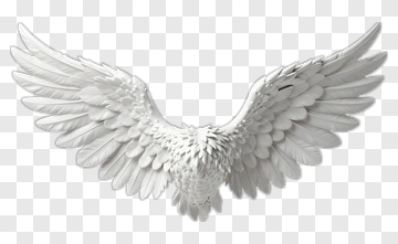 White Wings Sculpture PNG