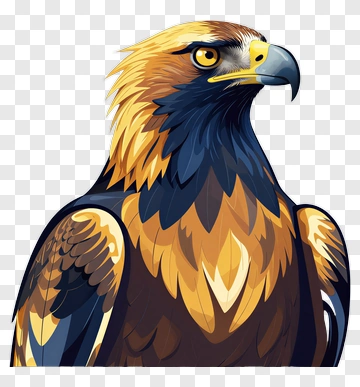 Eagle Portrait PNG