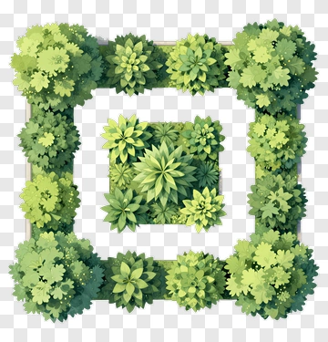 Top View Garden Plant Arrangement PNG