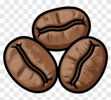 Coffee Bean PNG