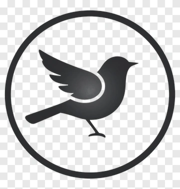 Bird Icon Silhouette PNG