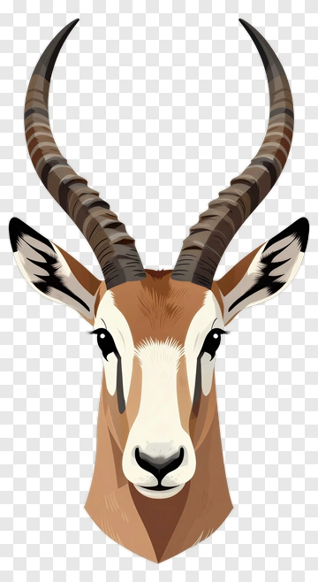 Antelope Head With Horns PNG