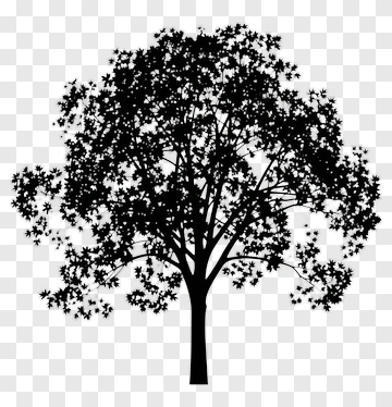 Black Tree Silhouette PNG