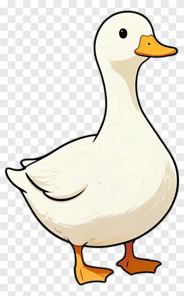 White Duck With Orange Beak And Feet PNG