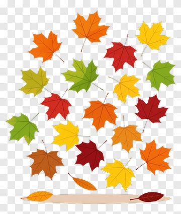 Falling Maple Leaves In Autumn PNG