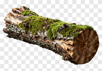 Moss Covered Log PNG