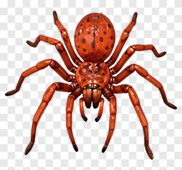 Red Spider PNG