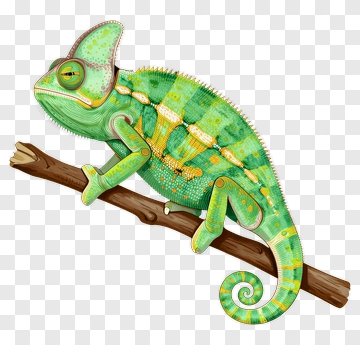 Chameleon On Branch PNG