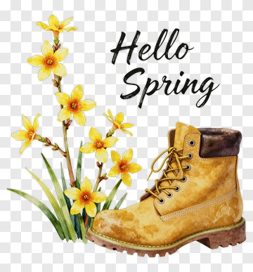 Hello Spring Boot And Daffodils PNG
