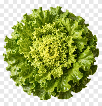 Romanesco Broccoli Top View PNG
