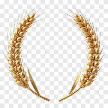 Golden Wheat Crown PNG