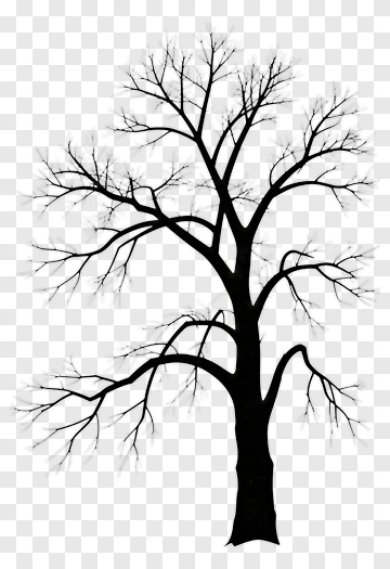 Bare Tree Silhouette PNG